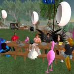 08-01-26_ABC Picnic_002
